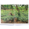 Steve McCurry: In Search of Elsewhere