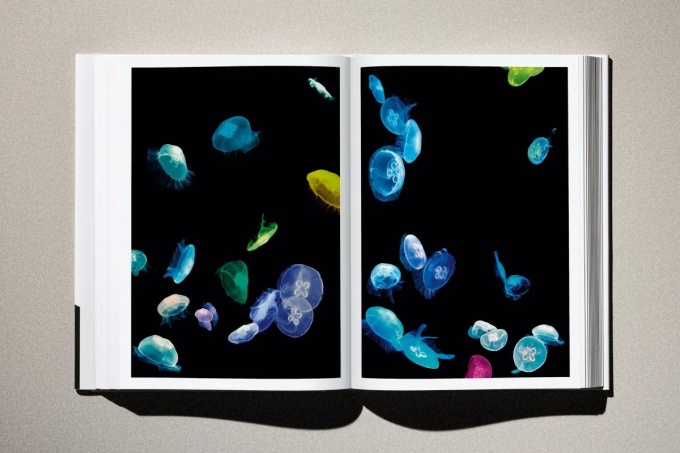 taschen-albert-watson-kaos16 Albert Watson: KAOS