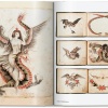 tattoo-henk-schiffmacher-s-private-collection2 TATTOO. Henk Schiffmacher’s Private Collection