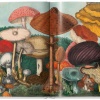 the-gourmand-s-mushroom-a-collection-of-stories-and-recipes12 The Gourmand's Mushroom. A Collection of Stories & Recipes