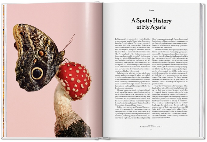 the-gourmand-s-mushroom-a-collection-of-stories-and-recipes14 The Gourmand's Mushroom. A Collection of Stories & Recipes