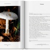 the-gourmand-s-mushroom-a-collection-of-stories-and-recipes4 The Gourmand's Mushroom. A Collection of Stories & Recipes