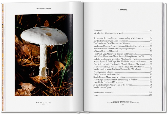 the-gourmand-s-mushroom-a-collection-of-stories-and-recipes4 The Gourmand's Mushroom. A Collection of Stories & Recipes