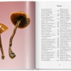the-gourmand-s-mushroom-a-collection-of-stories-and-recipes5 The Gourmand's Mushroom. A Collection of Stories & Recipes