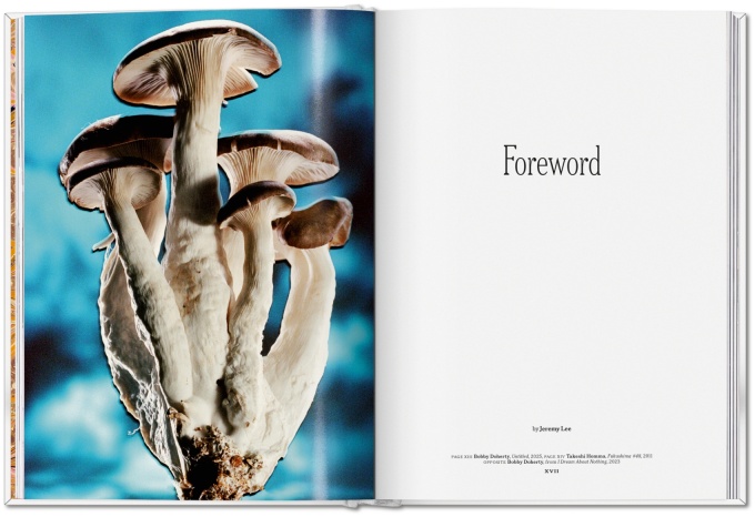 the-gourmand-s-mushroom-a-collection-of-stories-and-recipes6 The Gourmand's Mushroom. A Collection of Stories & Recipes