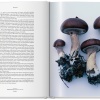 the-gourmand-s-mushroom-a-collection-of-stories-and-recipes7 The Gourmand's Mushroom. A Collection of Stories & Recipes