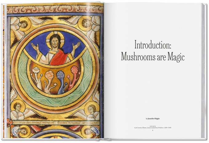 the-gourmand-s-mushroom-a-collection-of-stories-and-recipes8 The Gourmand's Mushroom. A Collection of Stories & Recipes