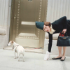 Tilda Swinton: Ongoing