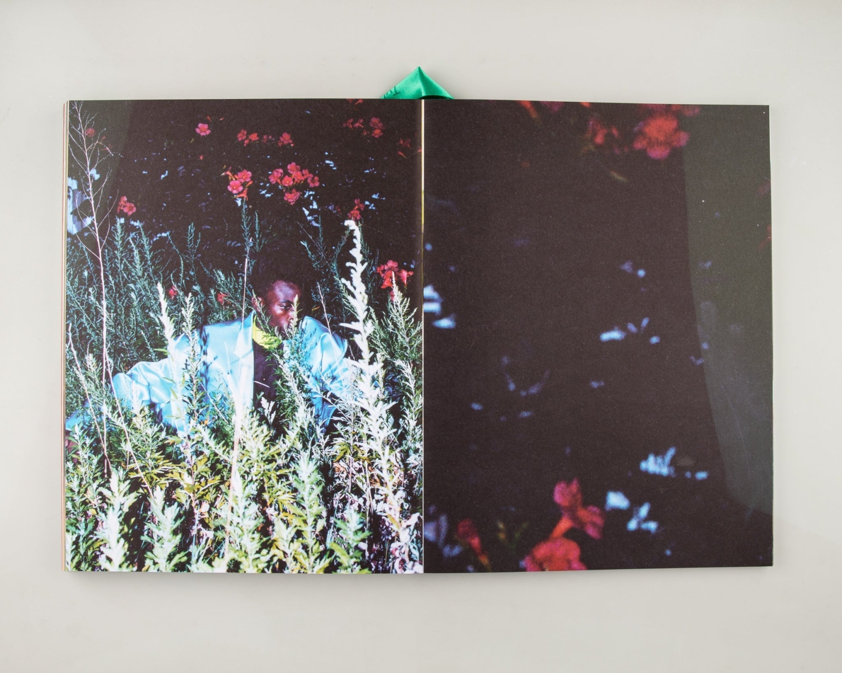 Tyler Mitchell: I Can Make You Feel Good | Coffee Table Book