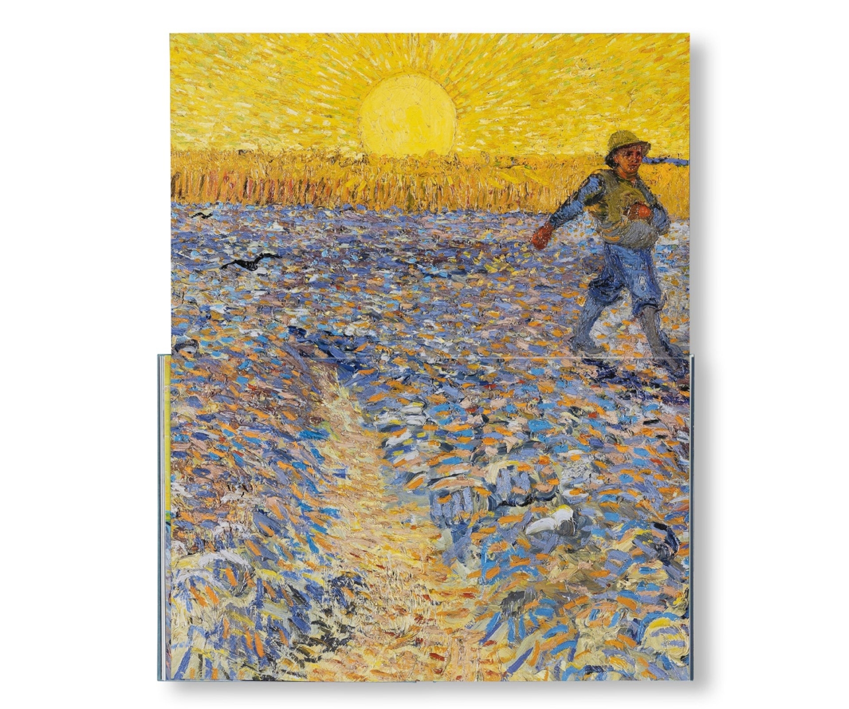 Van Gogh: The Bigger Picture | Kunstboeken kopen?