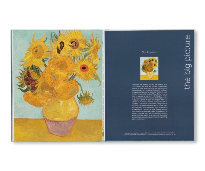 Van Gogh: The Bigger Picture