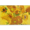 Van Gogh: The Bigger Picture