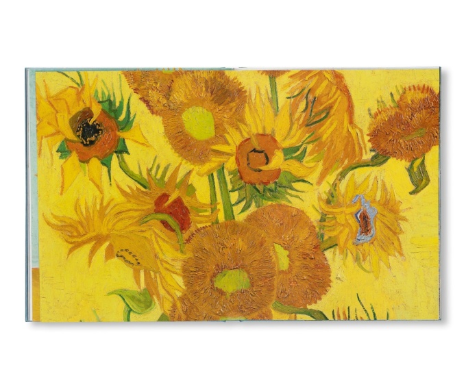 Van Gogh: The Bigger Picture