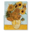 Van Gogh: The Bigger Picture