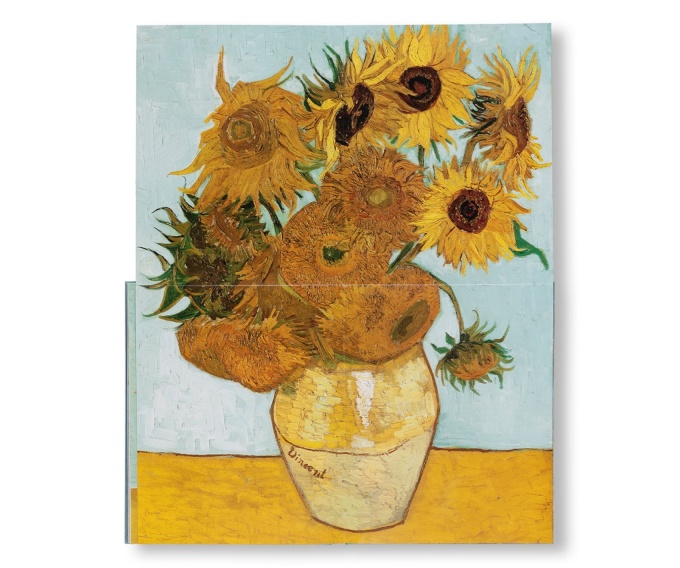 Van Gogh: The Bigger Picture