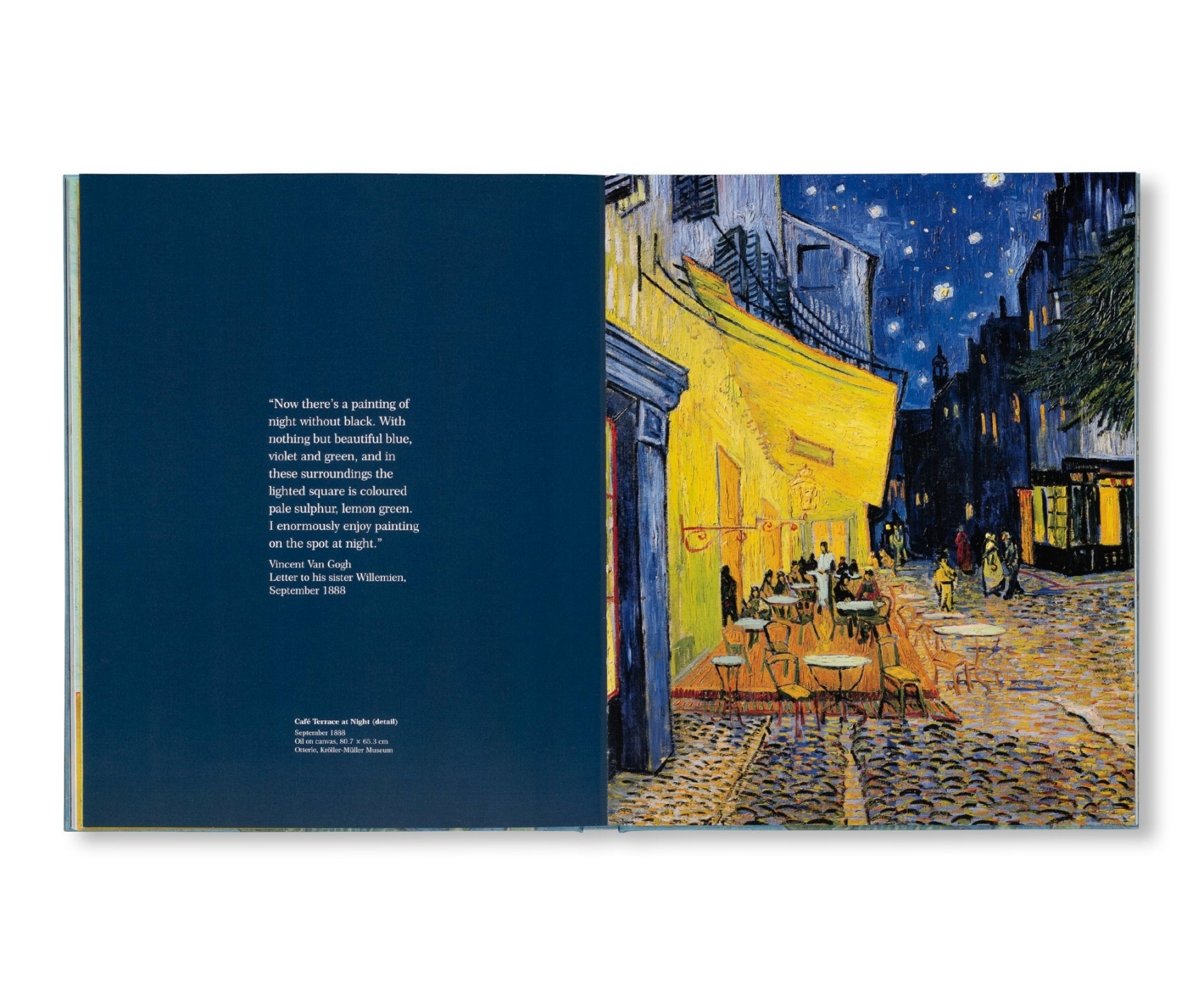 Van Gogh: The Bigger Picture | Kunstboeken kopen?