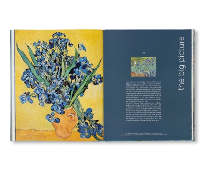 Van Gogh: The Bigger Picture