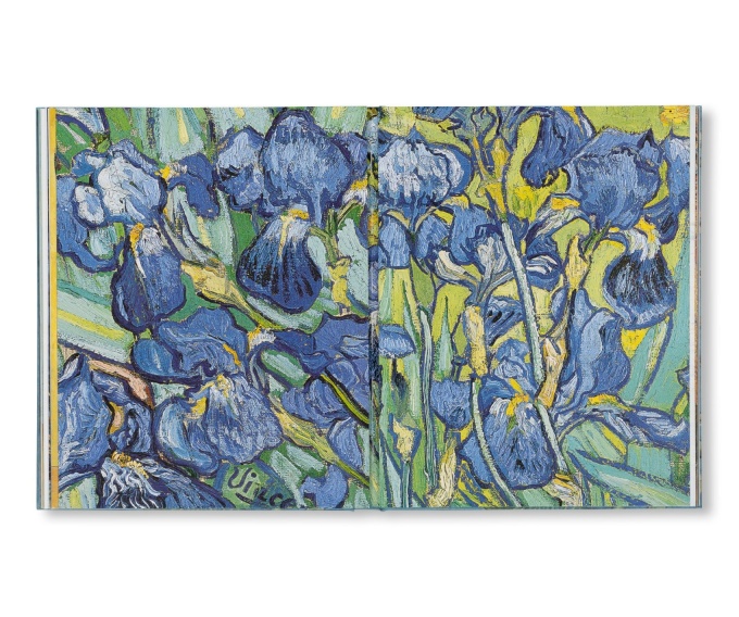 Van Gogh: The Bigger Picture
