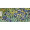 Van Gogh: The Bigger Picture