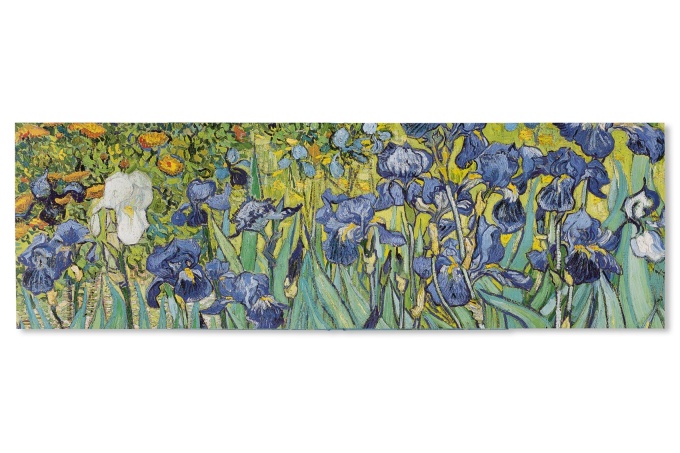 Van Gogh: The Bigger Picture