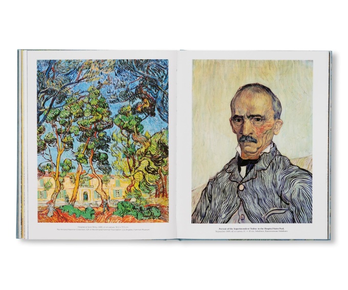 Van Gogh: The Bigger Picture