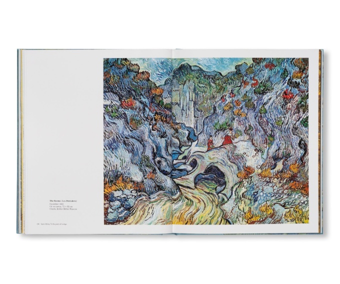 Van Gogh: The Bigger Picture