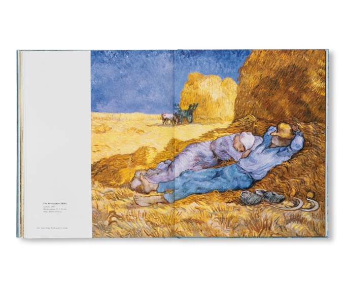 Van Gogh: The Bigger Picture