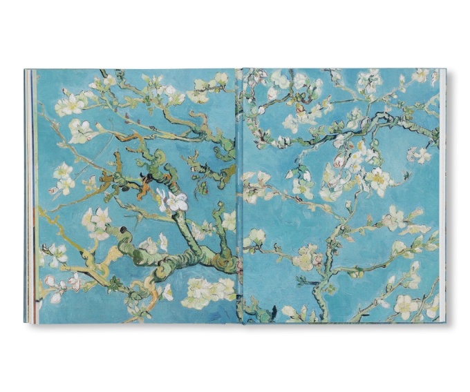 Van Gogh: The Bigger Picture