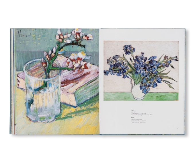 Van Gogh: The Bigger Picture