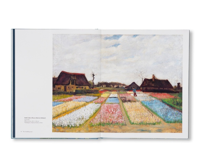 Van Gogh: The Bigger Picture