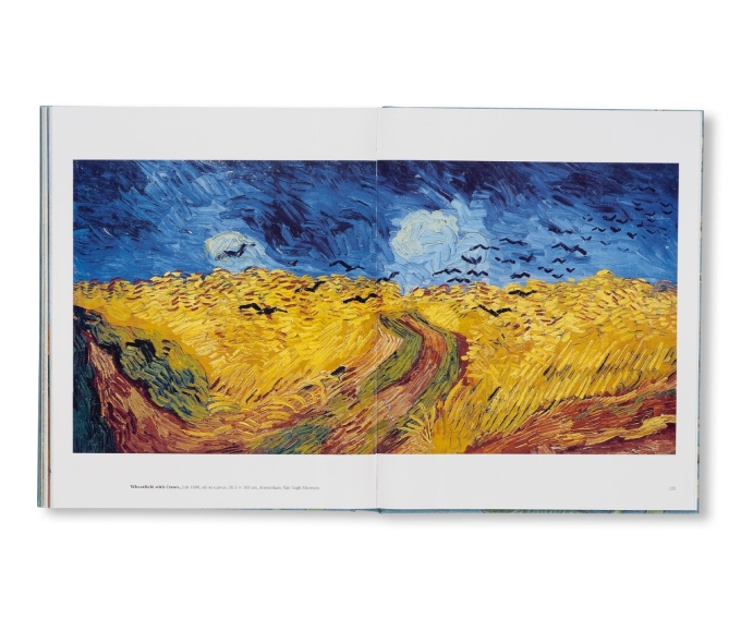 Van Gogh: The Bigger Picture