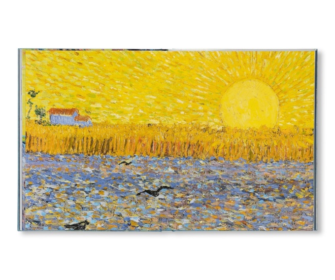 Van Gogh: The Bigger Picture