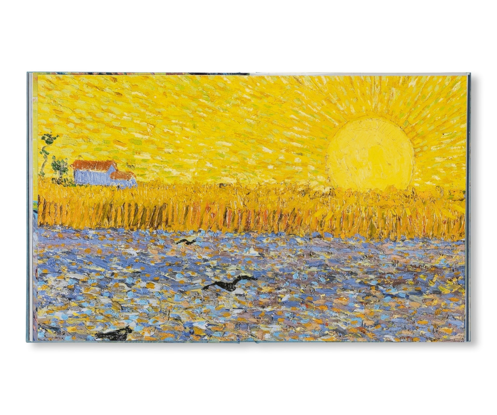 van-gogh-the-bigger-picture9.jpg