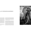 Federico Veronesi: Walk the Earth