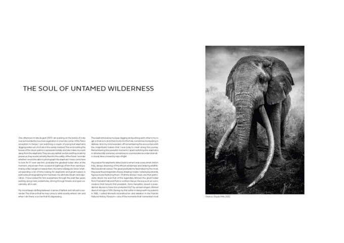 Federico Veronesi: Walk the Earth