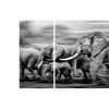 Federico Veronesi: Walk the Earth