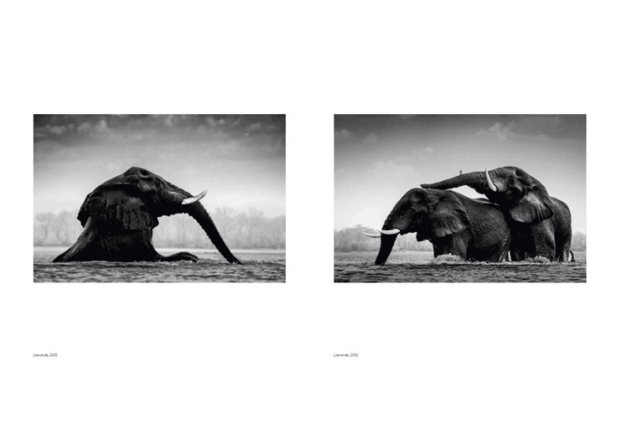 Federico Veronesi: Walk the Earth