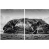 Federico Veronesi: Walk the Earth