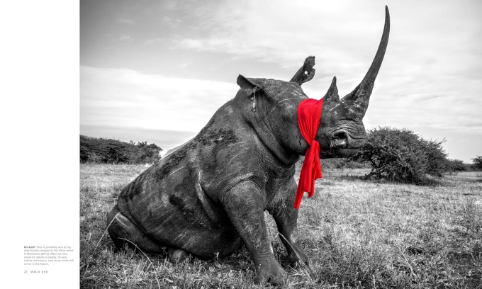 wild-eye-photographs-beverly-joubert10 Wild Eye: A Life in Photographs