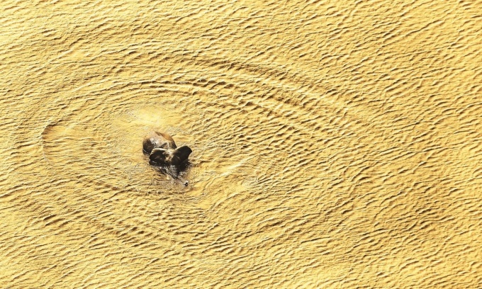 wild-eye-photographs-beverly-joubert2 Wild Eye: A Life in Photographs