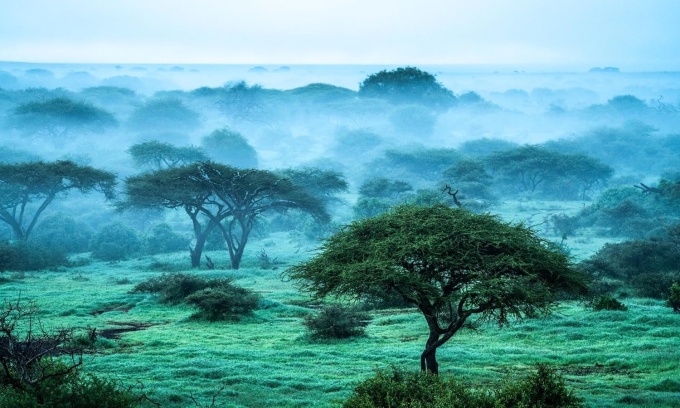 wild-eye-photographs-beverly-joubert3 Wild Eye: A Life in Photographs