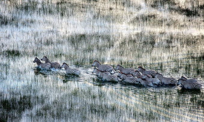 wild-eye-photographs-beverly-joubert5 Wild Eye: A Life in Photographs