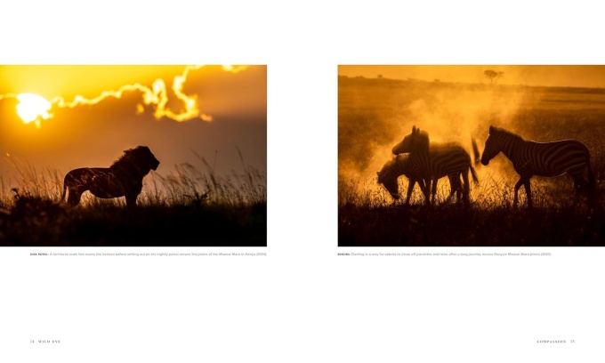 wild-eye-photographs-beverly-joubert6 Wild Eye: A Life in Photographs