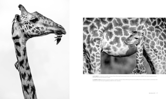 wild-eye-photographs-beverly-joubert7 Wild Eye: A Life in Photographs