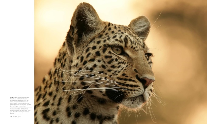 wild-eye-photographs-beverly-joubert8 Wild Eye: A Life in Photographs