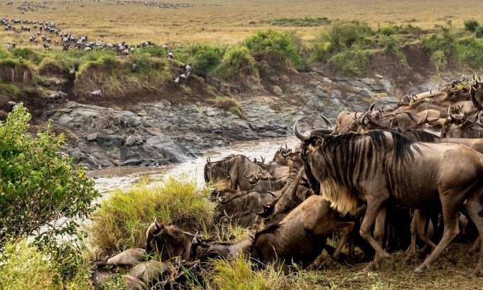 wild-eye-photographs-beverly-joubert9 Wild Eye: A Life in Photographs