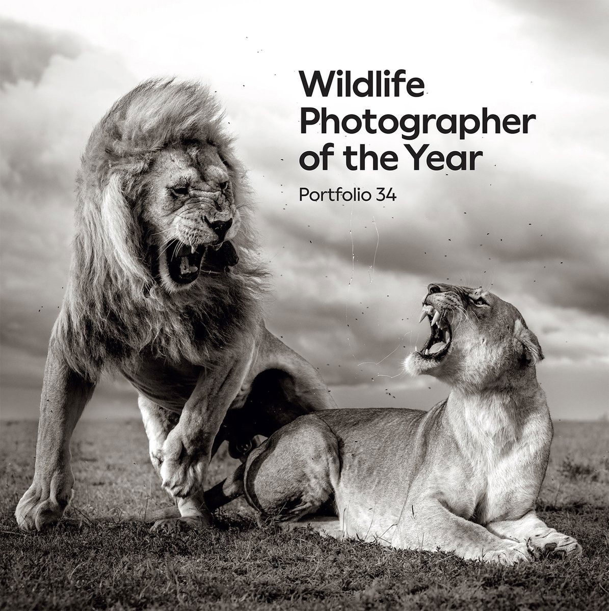 Wildlife Photographer of the Year 34