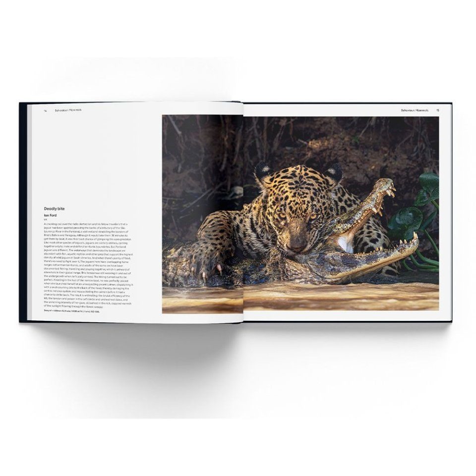 写真集 Wildlife Photographer of the Year 6冊 写真集 Wildlife Photographer of the Year 6冊