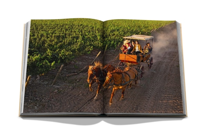 wine-and-travel-latin-america4 Wine & Travel Latin America