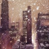 Winterland: The Colors of Snow